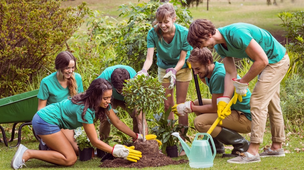 4 Benefits of Doing Volunteer Work While You're in College The Magazine