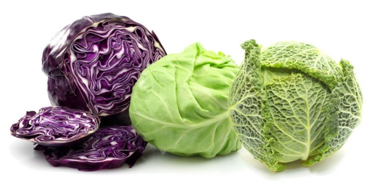 Best Cabbage Varieties To Grow In Your Garden