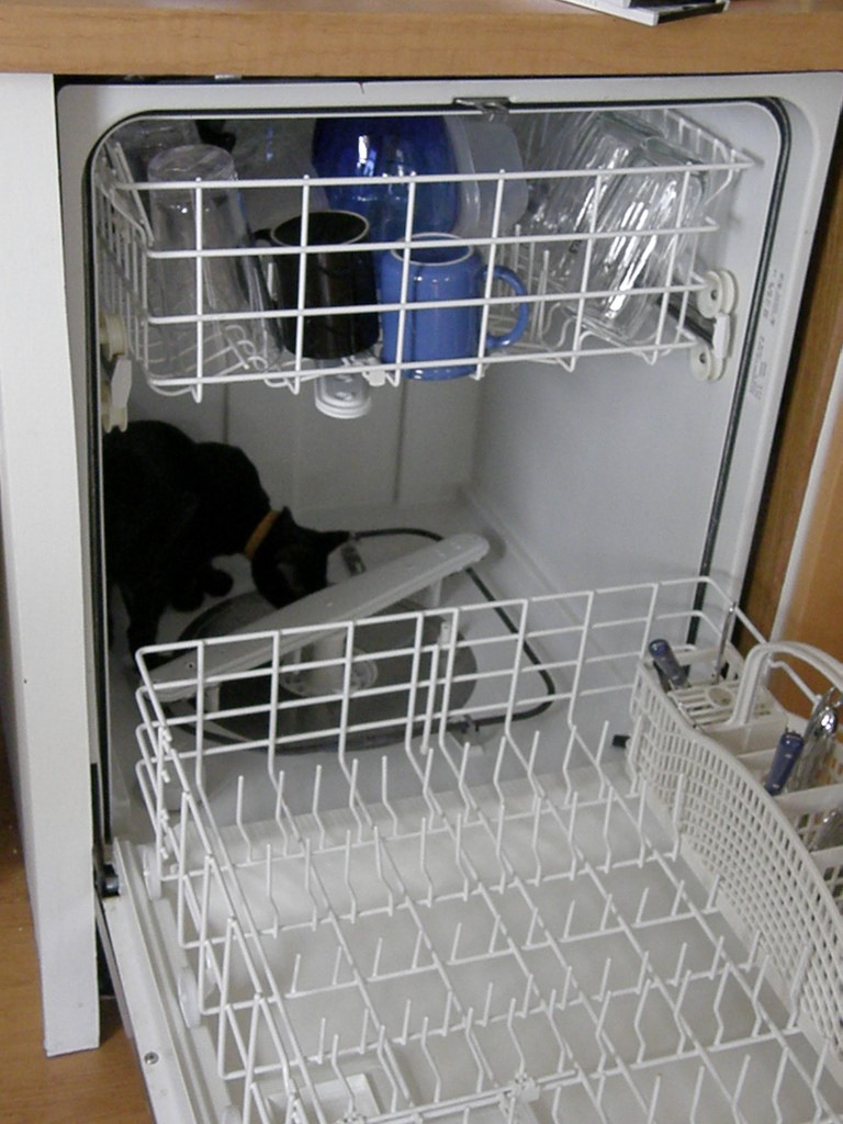 What to Do If Your Dishwasher Isn’t Working Properly The Magazine