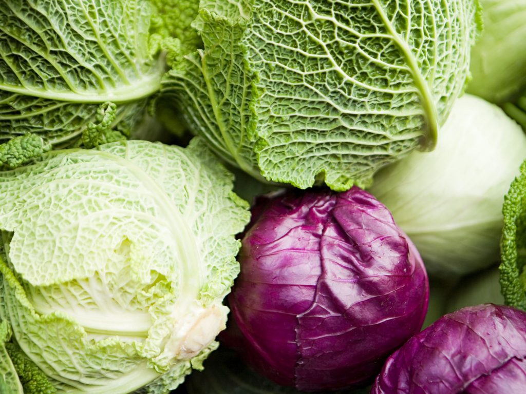 best cabbage varieties to grow