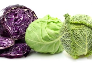 best cabbage varieties to grow
