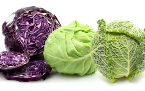best cabbage varieties to grow