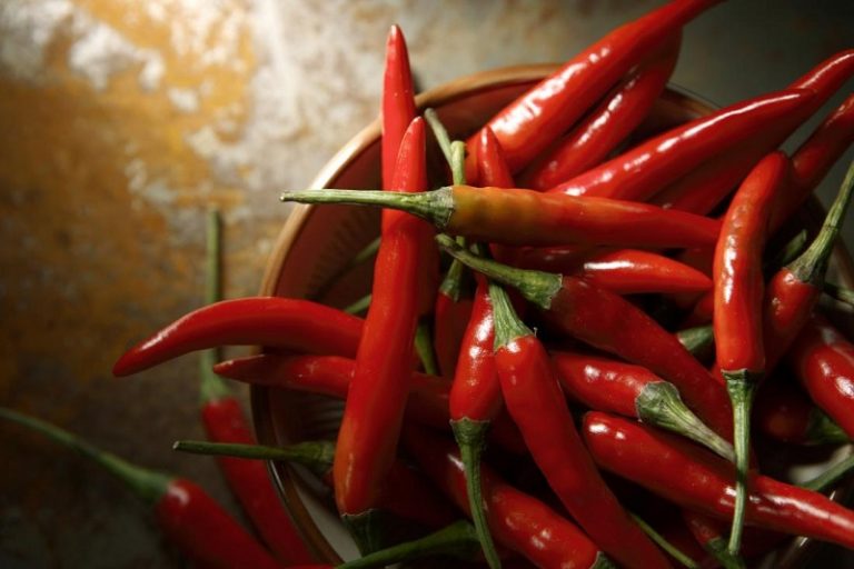 Red chilli properties, benefits, use and contraindications The Magazine