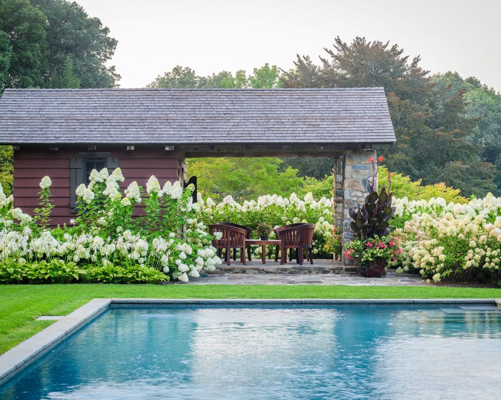 Clean swimming pool surrounded by landscaping with no frogs in sight